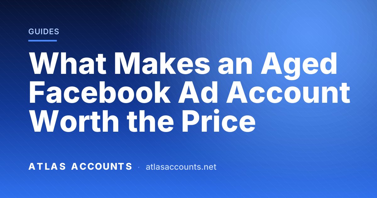 What Makes an Aged Facebook Ad Account Worth the Price